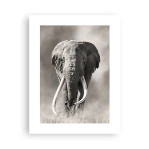 Plakat - Afrikansk patriark - 30x40 cm