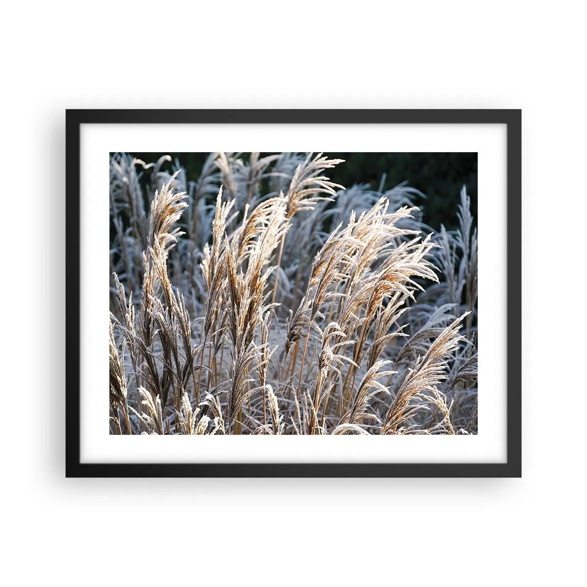Plakat i sort ramme - Pyntet med frost - 50x40 cm
