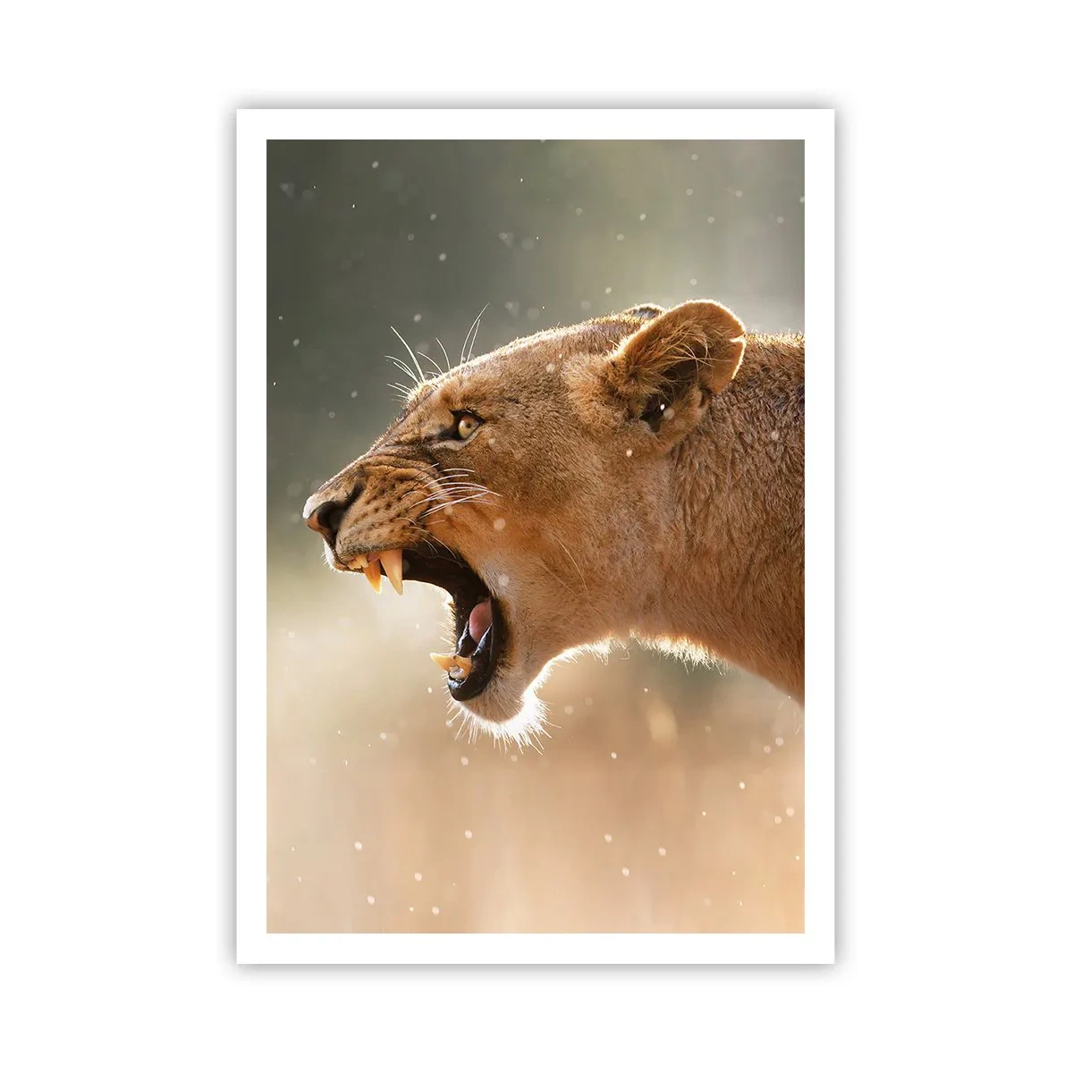 Plakat - Prøv ikke at lytte - 70x100 cm