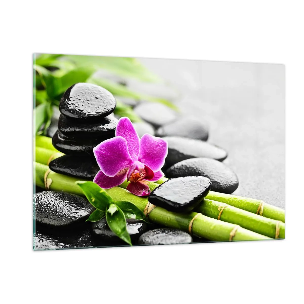 Billede på glas - I en fredelig balance - 120x80 cm