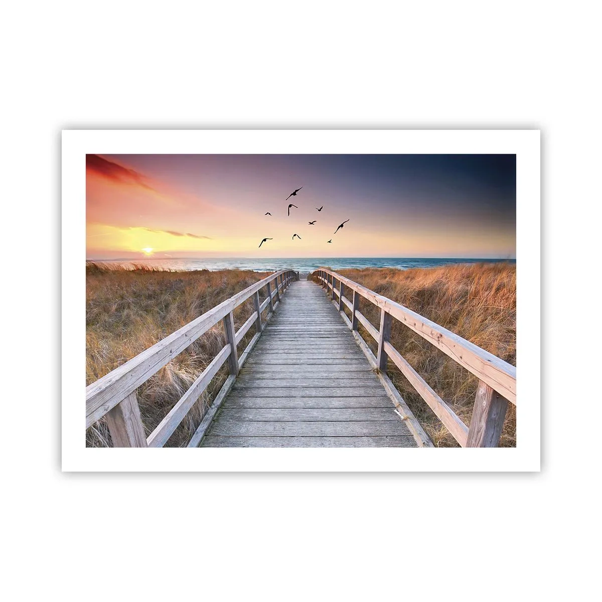 Plakat - Rummet med højder - 70x50 cm