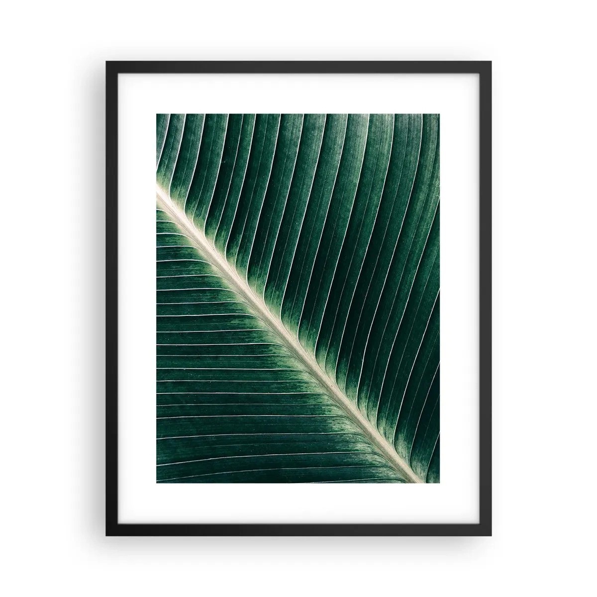 Plakat i sort ramme - Naturens rytme - 40x50 cm