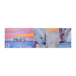 Prøve Fototapet Premium Sand - Familievarme er nok - Dyr, Isbjørn, Sne - 100x30 cm