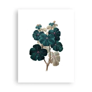 Plakat - Fra et gammelt herbarium - 30x40 cm