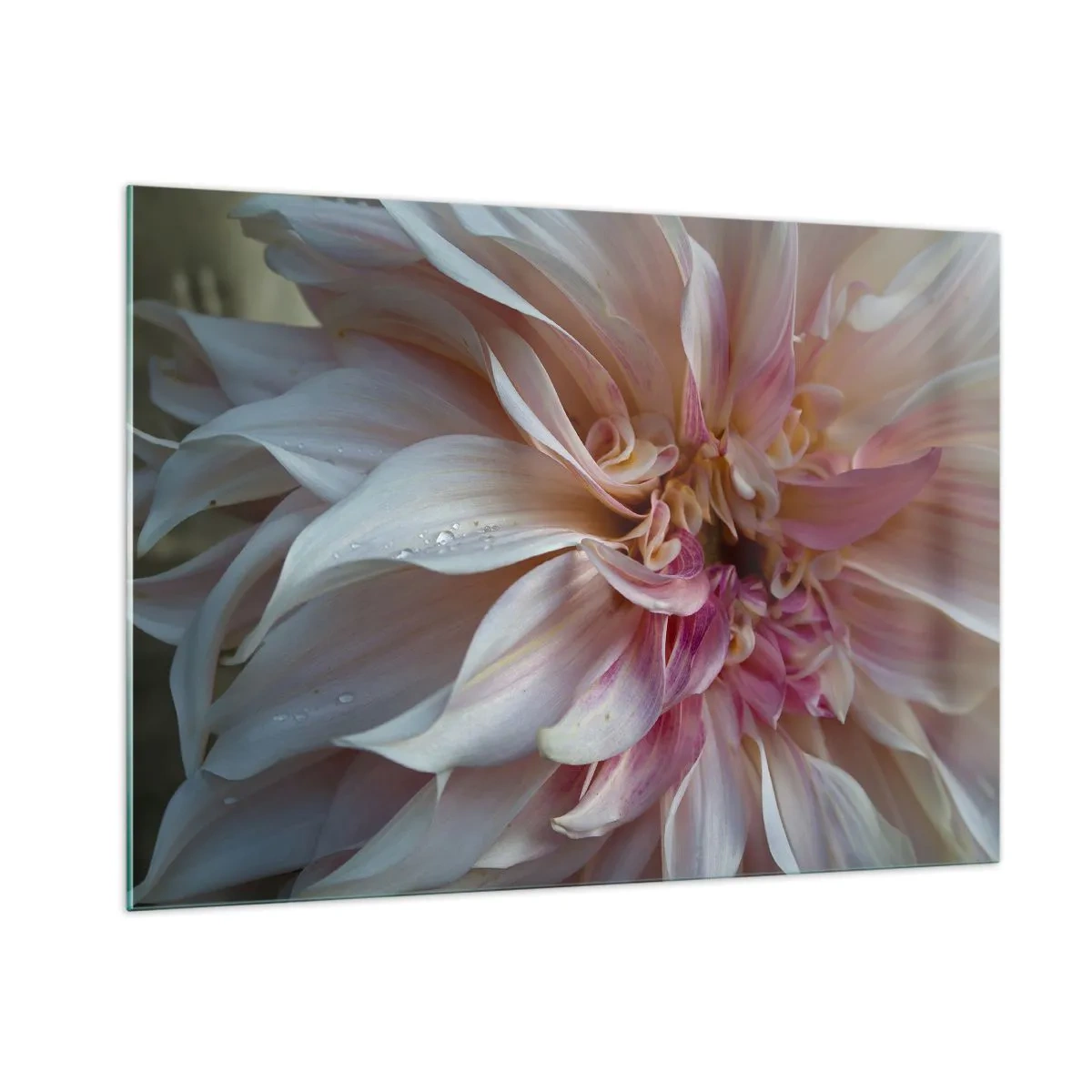 Billede på glas - Blomstrende friskhed - 100x70 cm