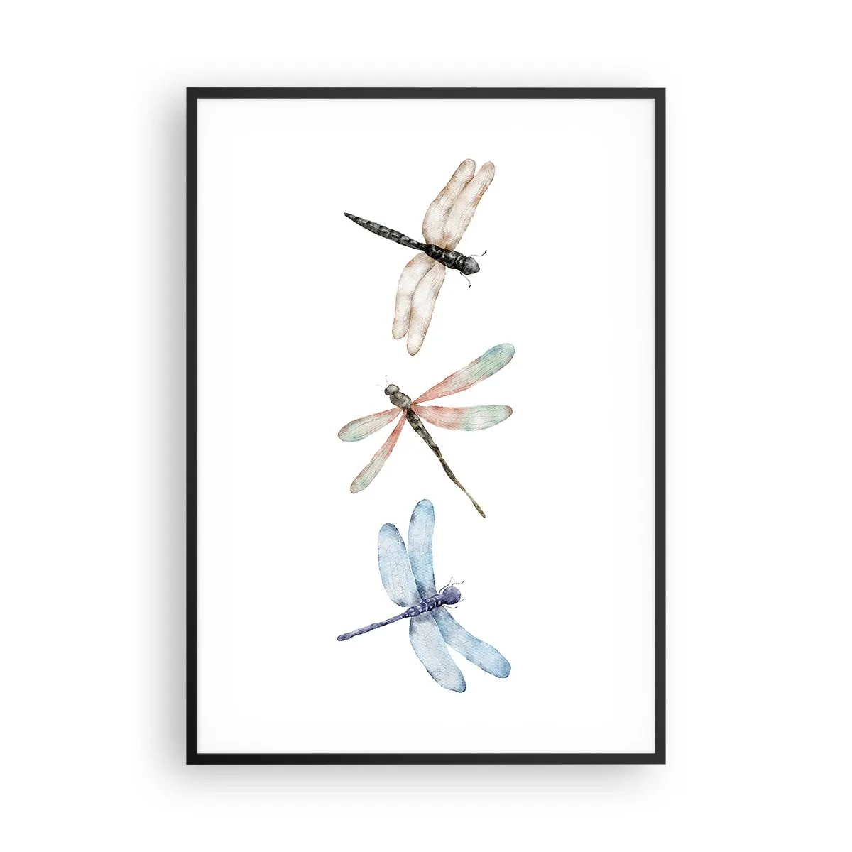 Plakat i sort ramme - Vægtløse guldsmede - 70x100 cm