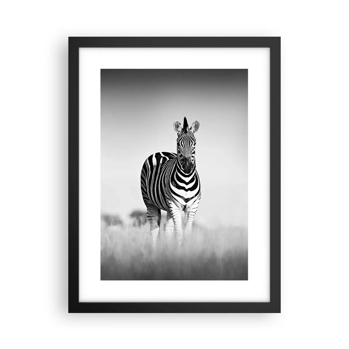 Plakat i sort ramme - Og alligevel er verden sort og hvid - 30x40 cm