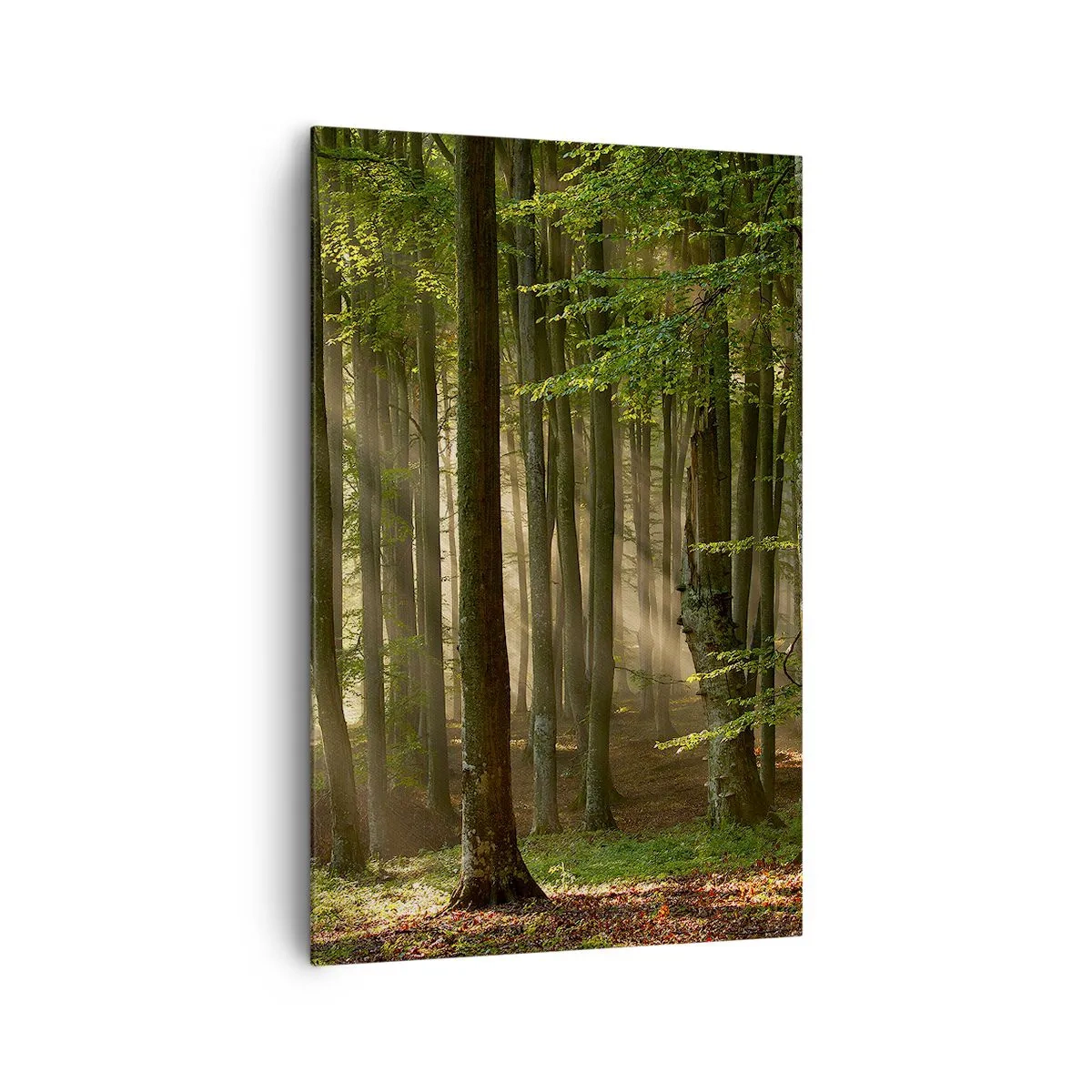 Lærredstryk - Billede på lærred - Strålende på en forårsmorgen - 80x120 cm