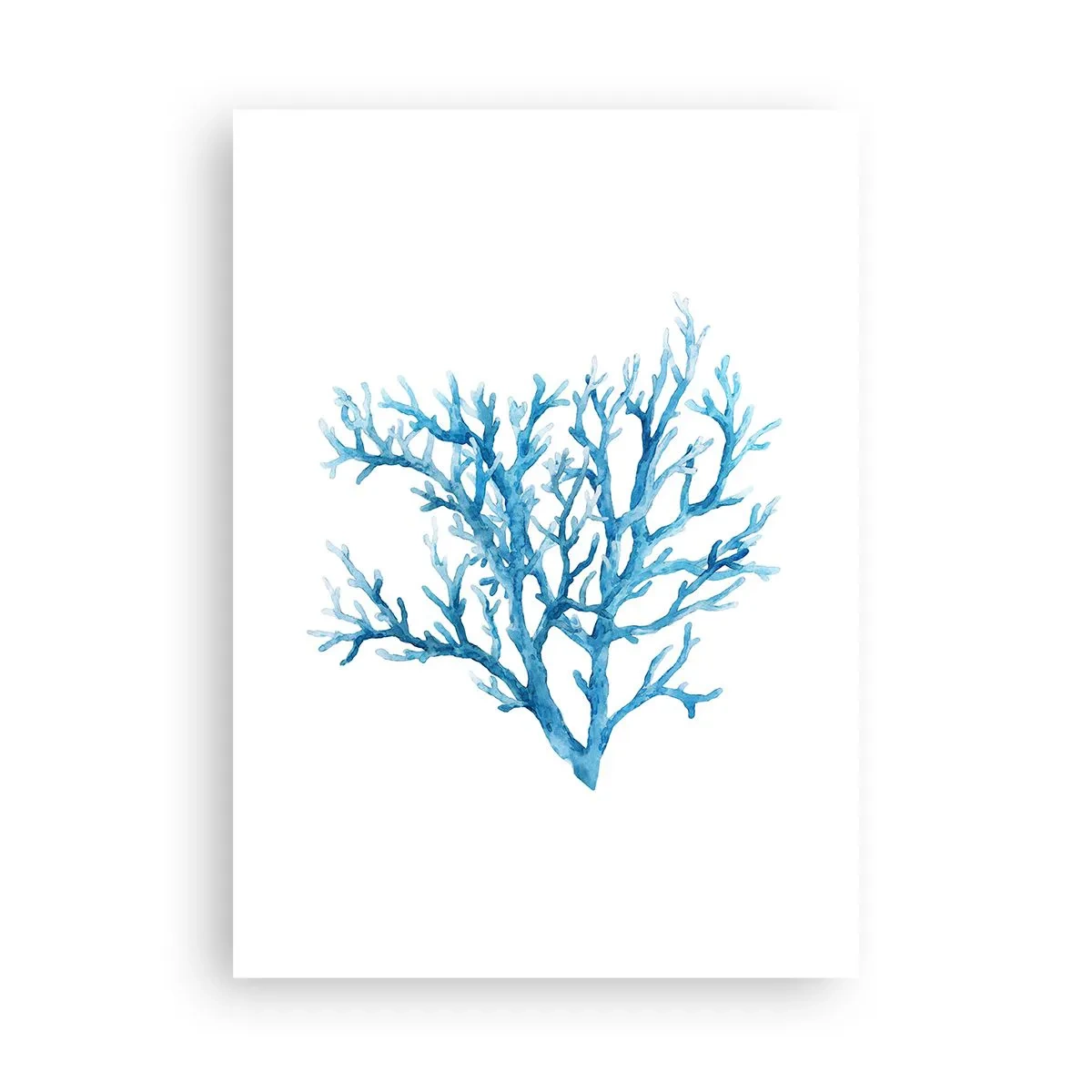 Plakat - Marint filigran - 50x70 cm