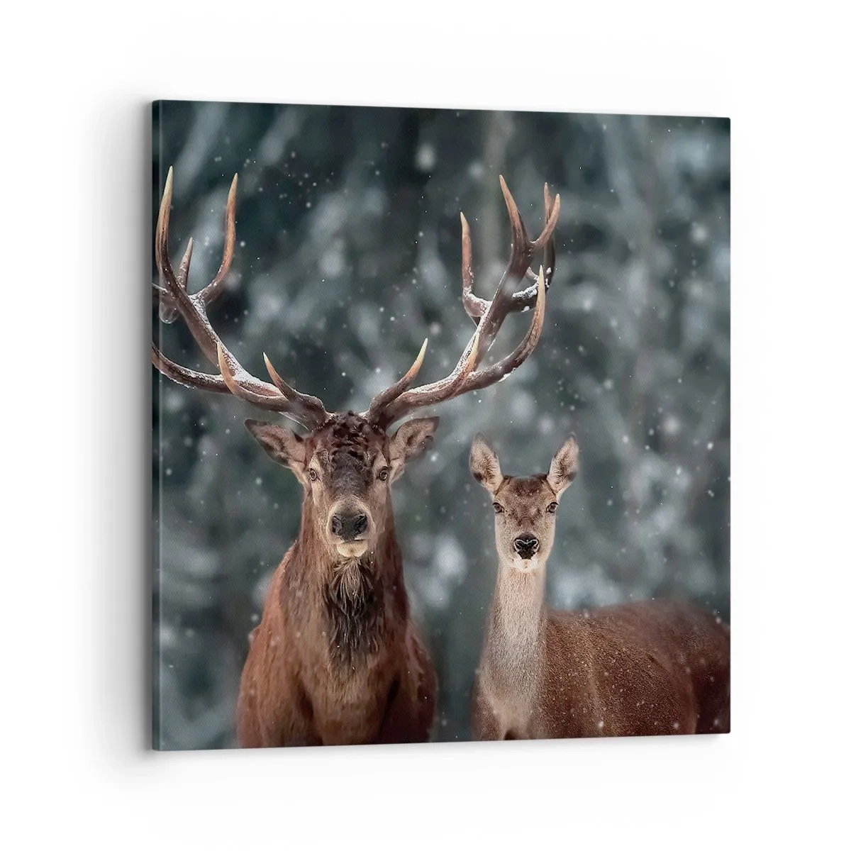 Lærredstryk - Billede på lærred - Skovens herre og hans kone - 70x70 cm