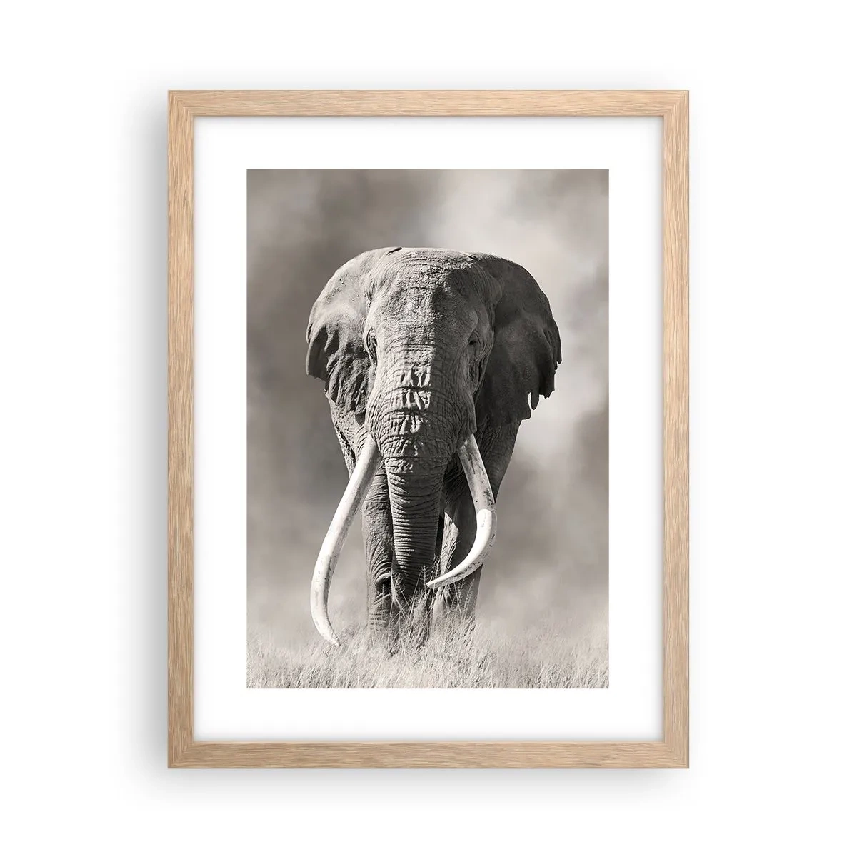 Plakat i ramme af lyst egetræ - Afrikansk patriark - 30x40 cm