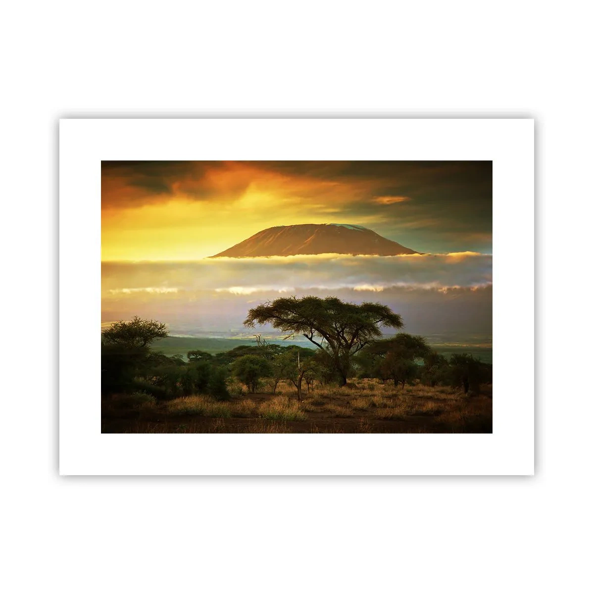 Plakat - En rejsendes drøm - 40x30 cm