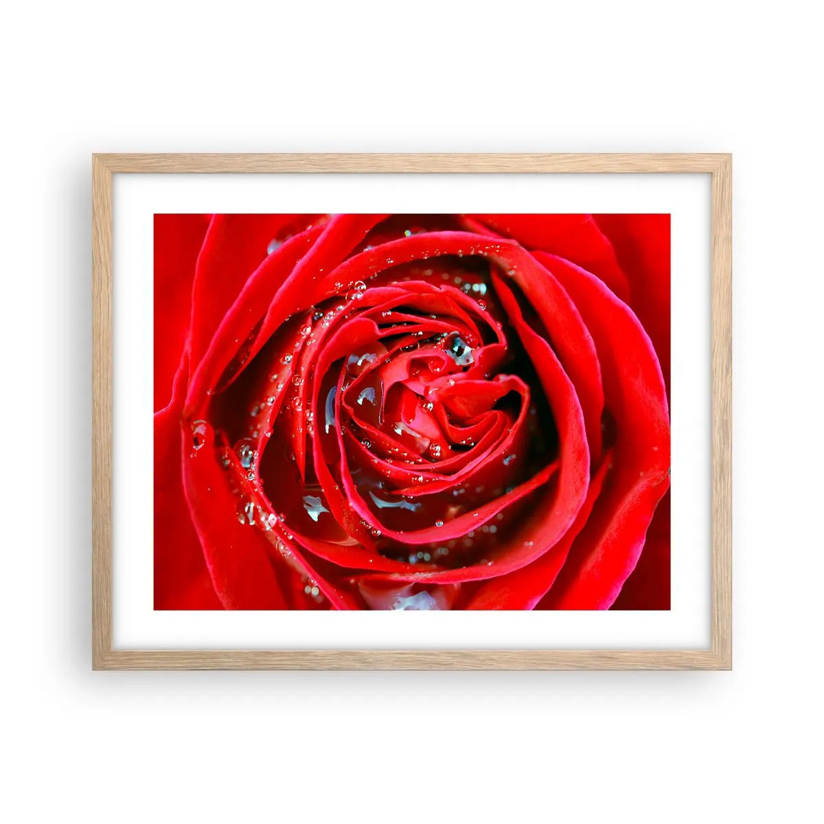 Plakat i ramme af lyst egetræ - I dråber af dug - 50x40 cm