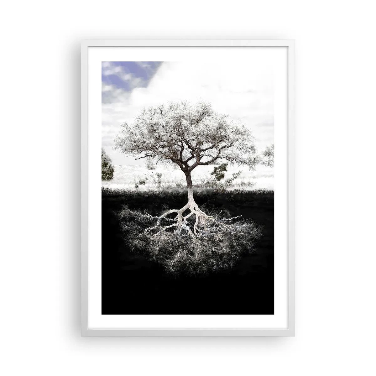 Plakat i hvid ramme - Opdagelse af verdens natur - 50x70 cm