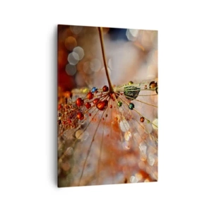 Lærredstryk - Billede på lærred - Trådet på et edderkoppespind - 70x100 cm