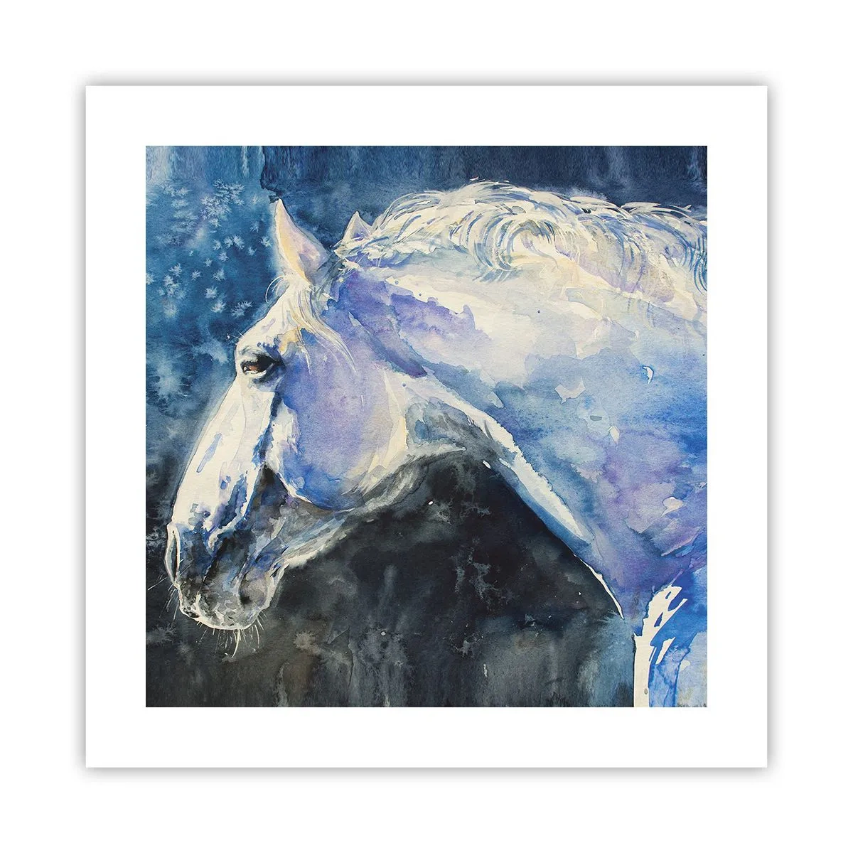 Plakat - Portræt i et blåt skær - 40x40 cm