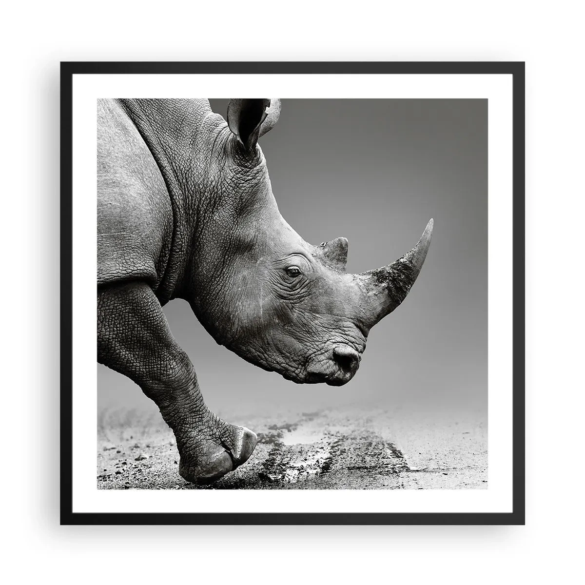 Plakat i sort ramme - En ustoppeli - 60x60 cm