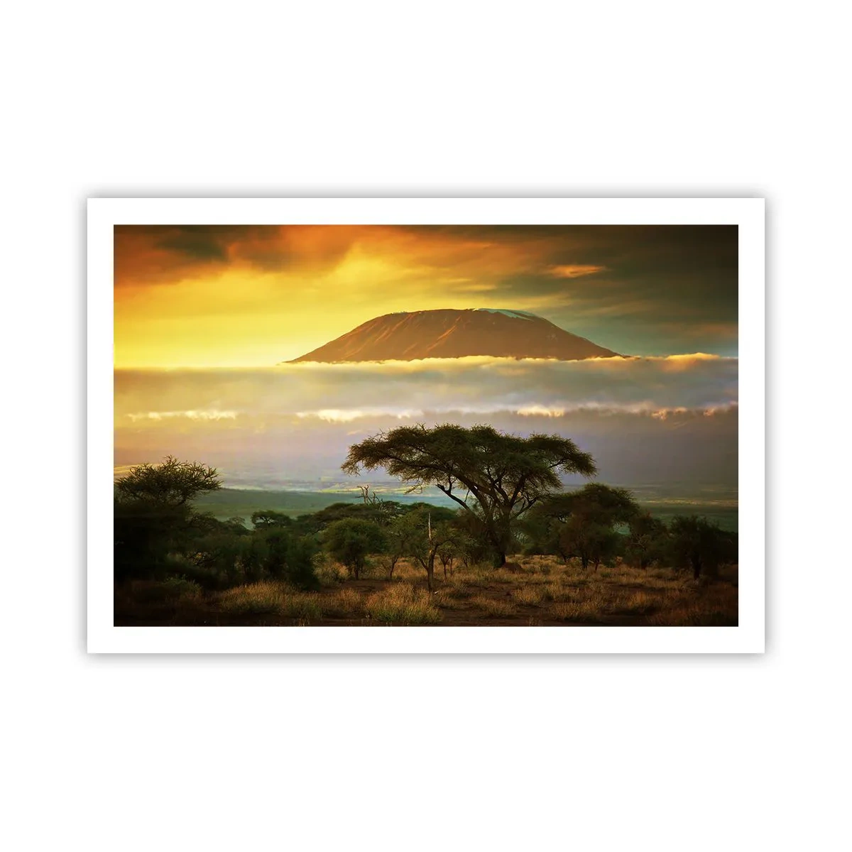 Plakat - En rejsendes drøm - 91x61 cm