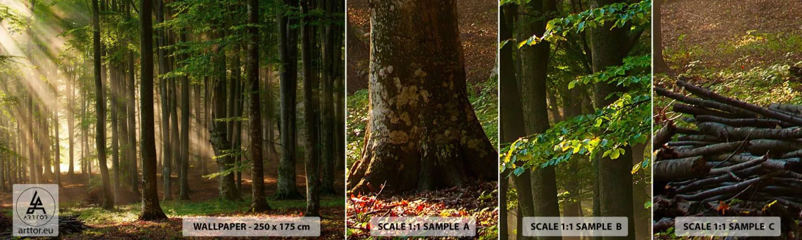 Prøve Fototapet Selvklæbende Deluxe Sticker - Strålende på en forårsmorgen - Landskab, Skov, Parkere - 100x30 cm