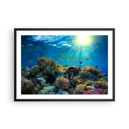 Plakat i sort ramme - Undervandsskatte - 70x50 cm