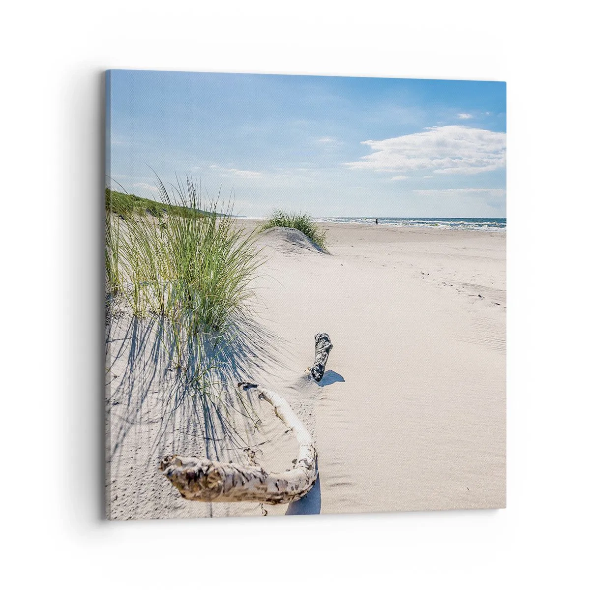 Lærredstryk - Billede på lærred - Den smukkeste? Baltisk - 70x70 cm