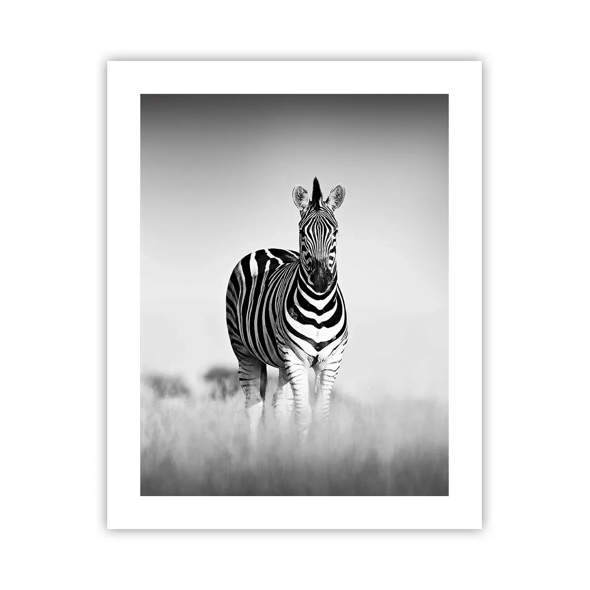 Plakat - Og alligevel er verden sort og hvid - 40x50 cm