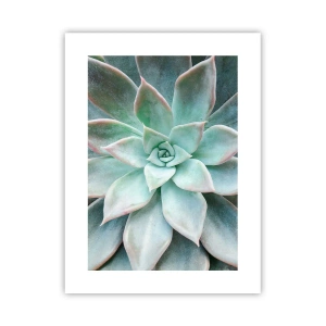 Plakat - Hjertet af ørkenen - 30x40 cm