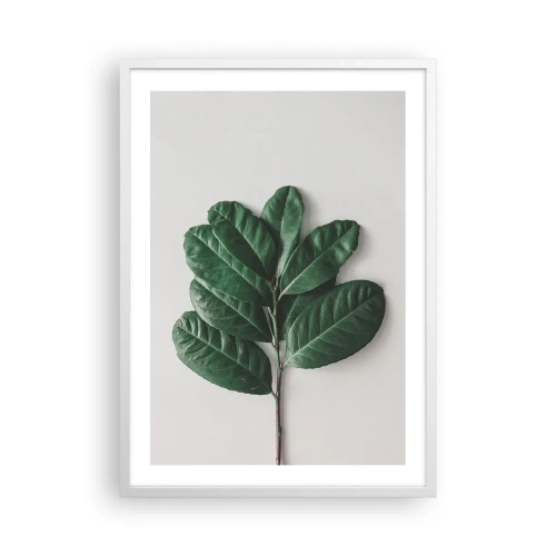 Plakat i hvid ramme - Tegning af selve naturen - 50x70 cm