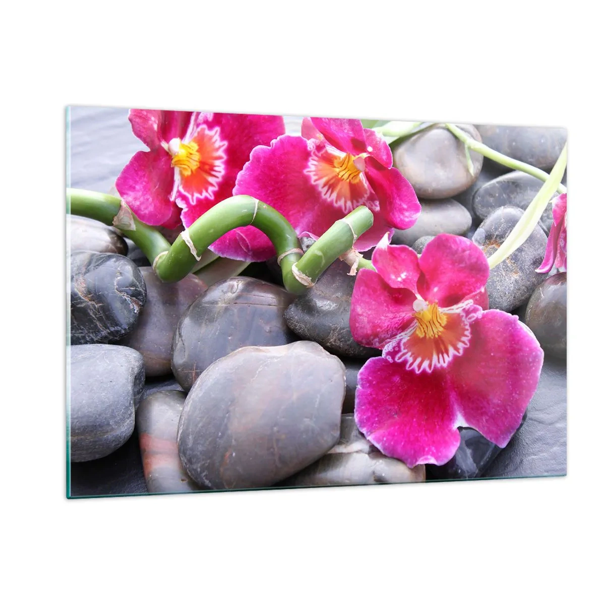 Billede på glas - Kulde og varme - 120x80 cm