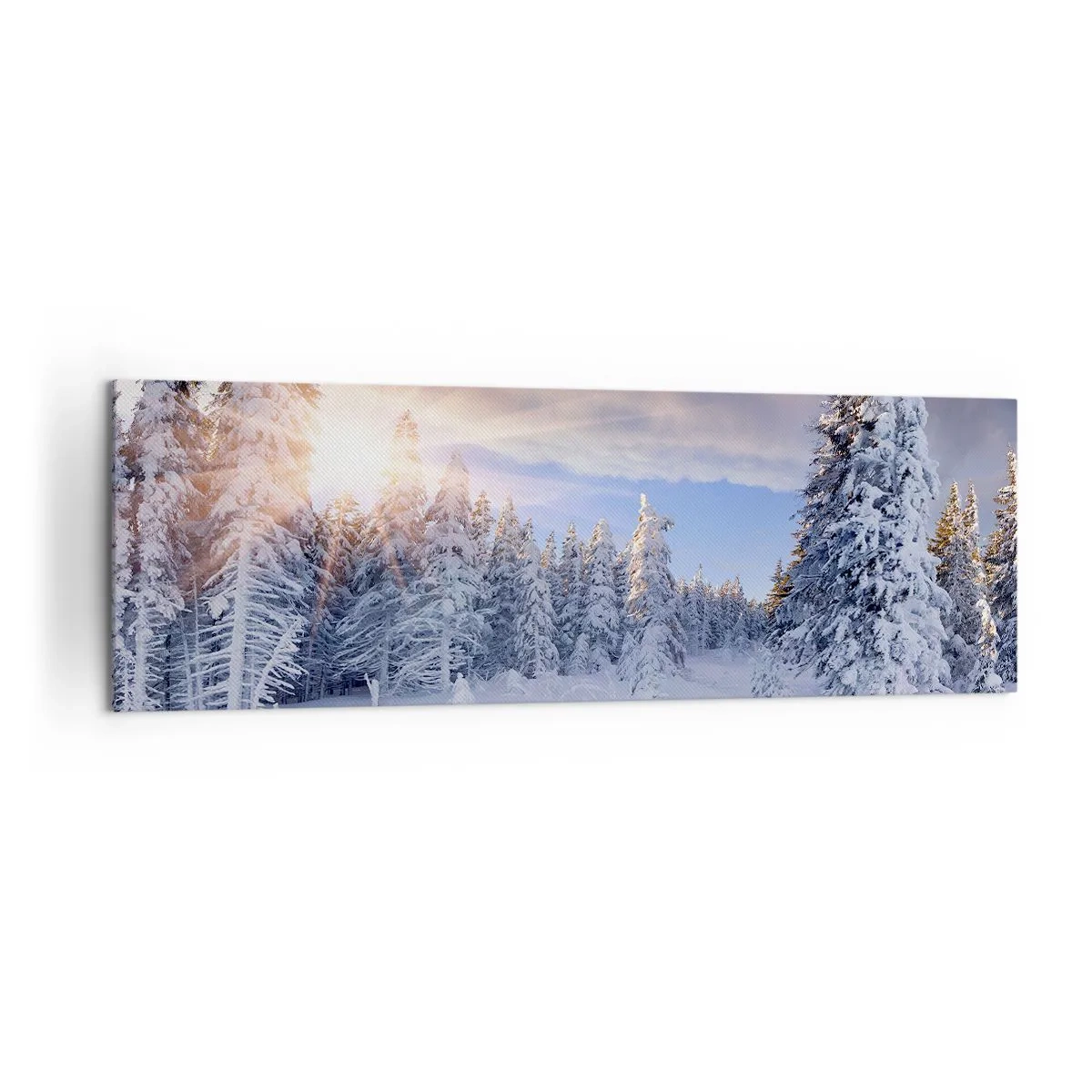 Lærredstryk - Billede på lærred - Et snedækket naturspektakel - 160x50 cm