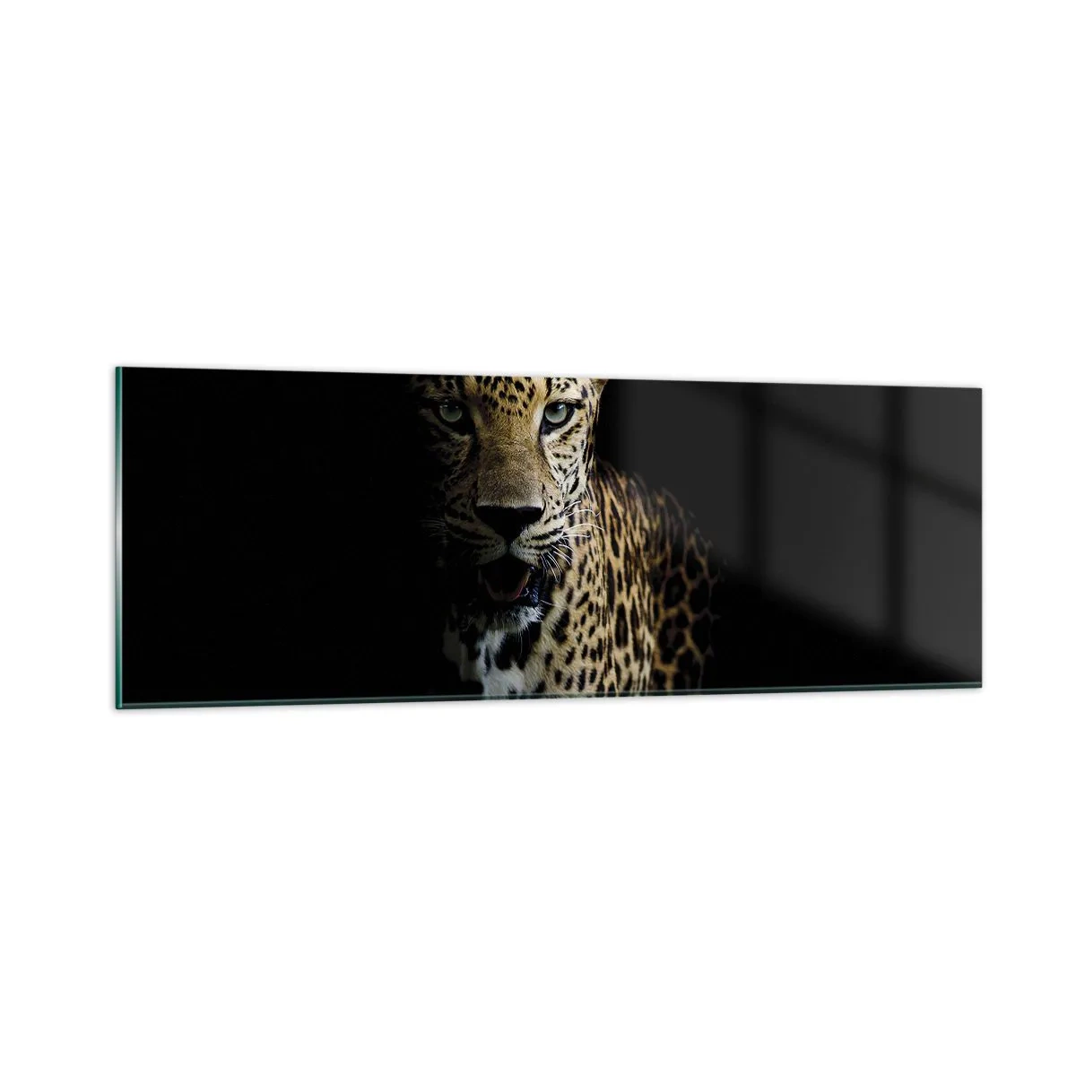Billede på glas - Mørk skønhed - 90x30 cm