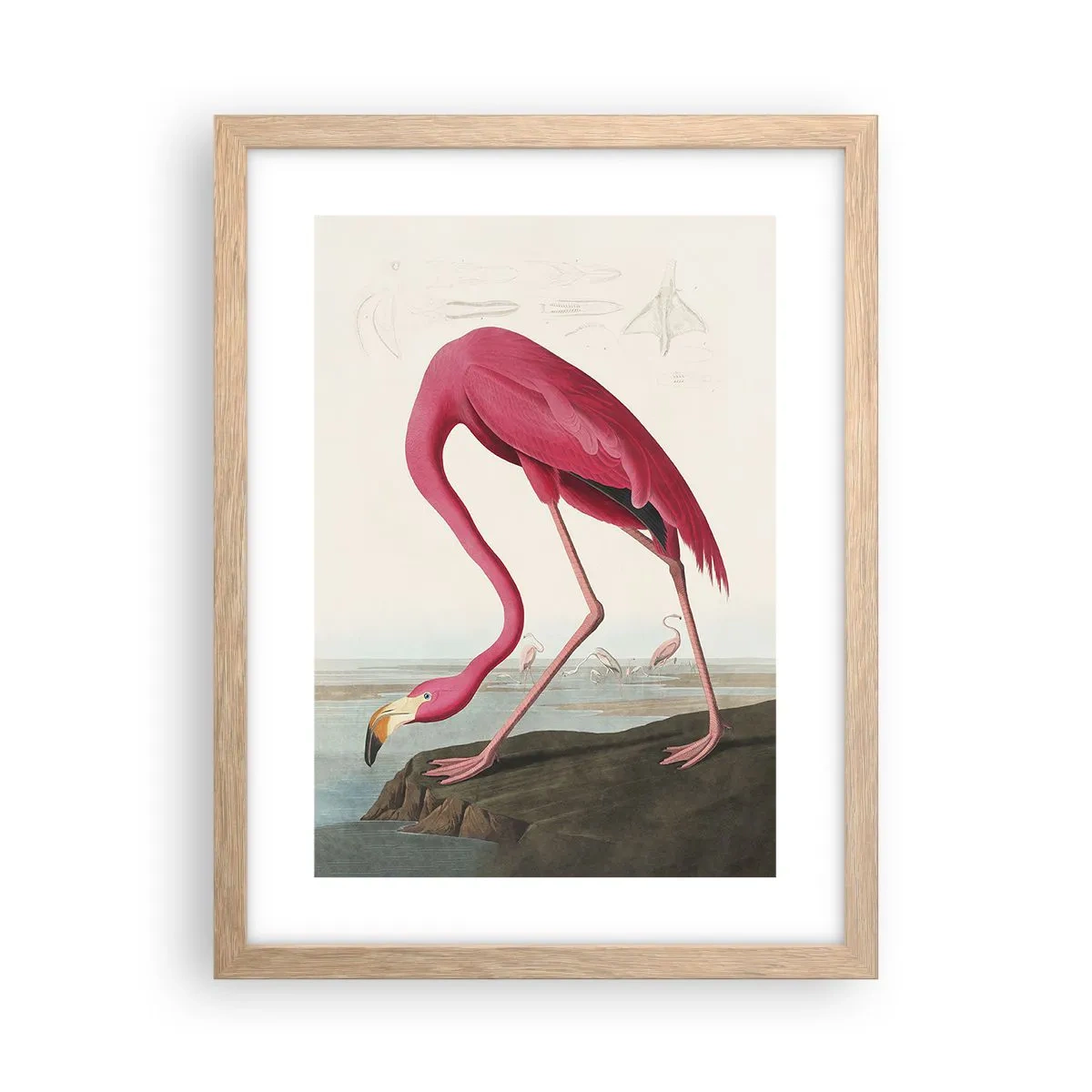 Plakat i ramme af lyst egetræ - Et forbløffende væsen - 30x40 cm