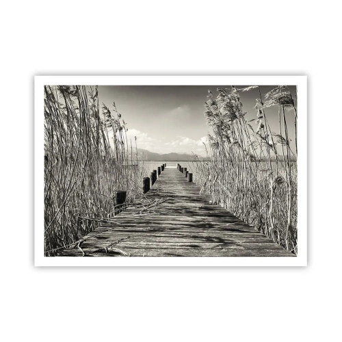 Plakat - I græssernes fred - 100x70 cm