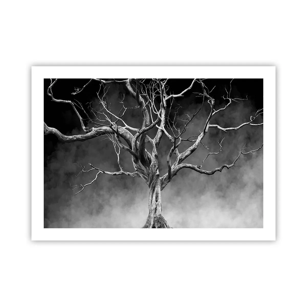 Plakat - Primær og hellig - 70x50 cm