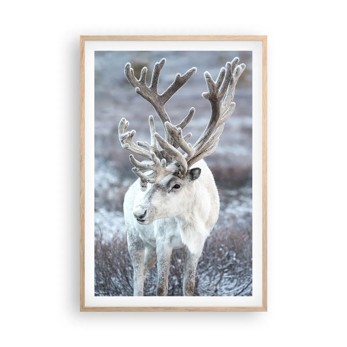 Plakat i ramme af lyst egetræ - Portræt i solen - 61x91 cm