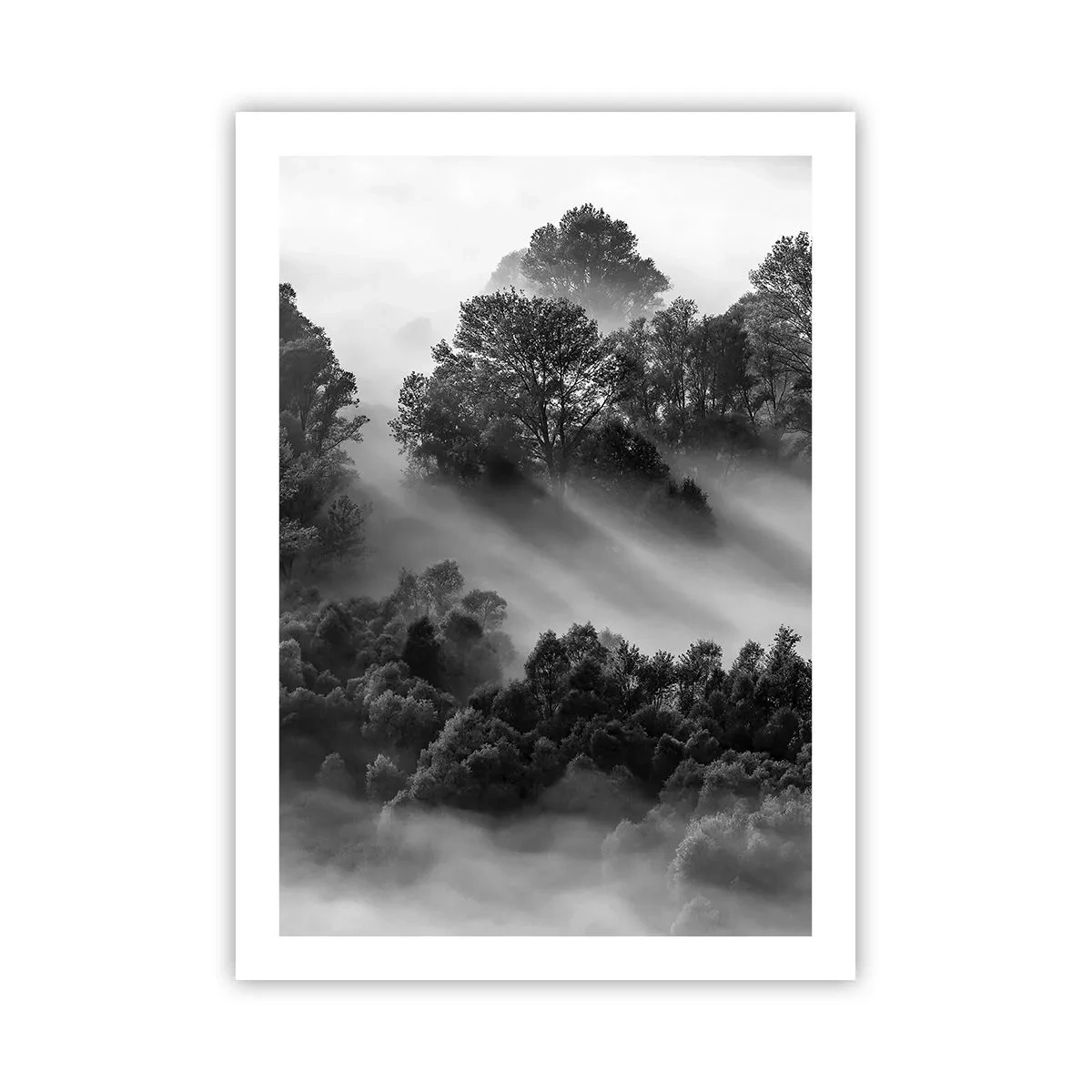 Plakat - At vågne fra søvnen - 50x70 cm