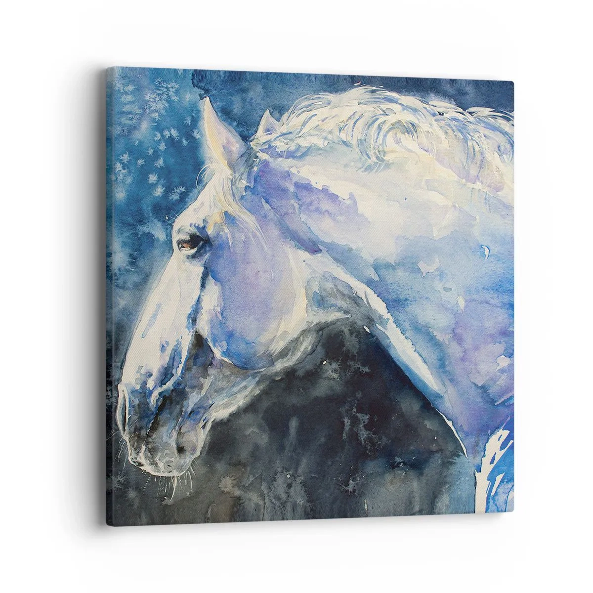 Lærredstryk - Billede på lærred - Portræt i et blåt skær - 40x40 cm