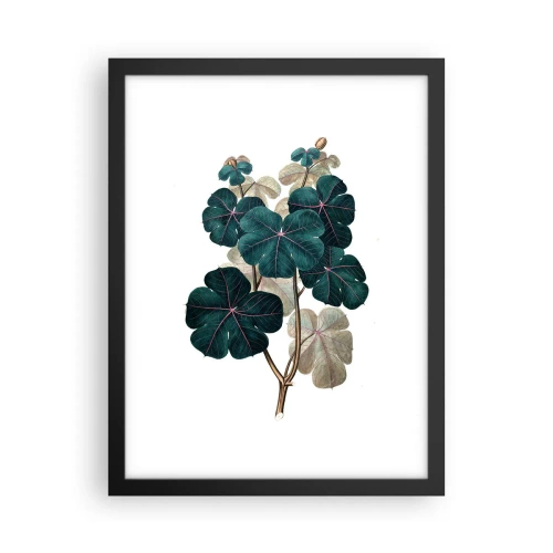 Plakat i sort ramme - Fra et gammelt herbarium - 30x40 cm