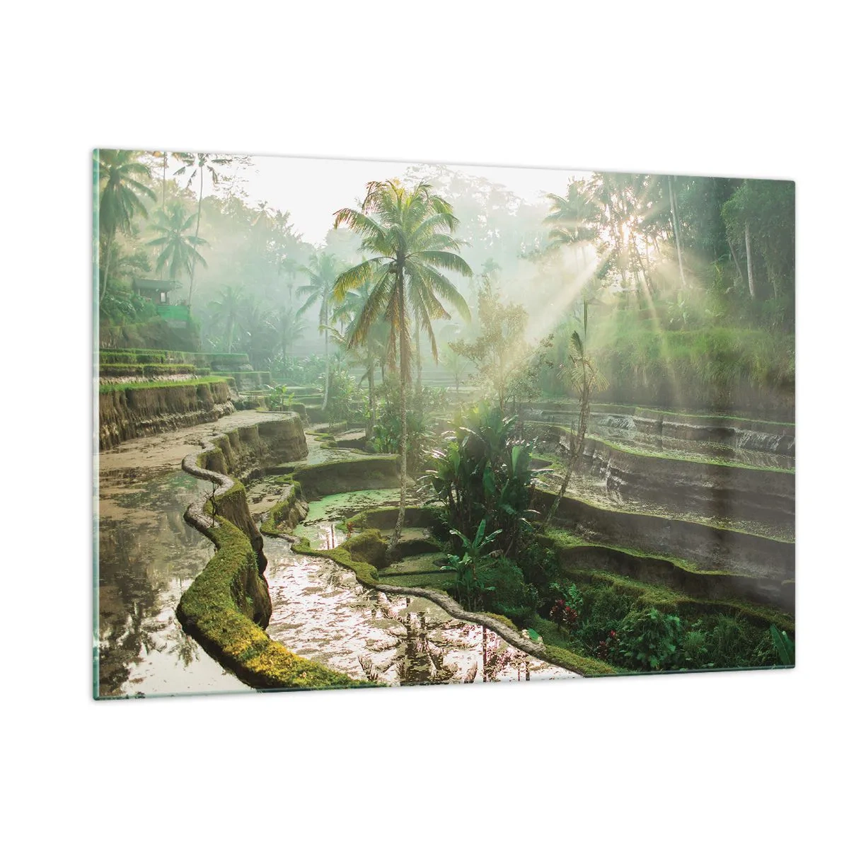 Billede på glas - Voksende op i solen - 120x80 cm