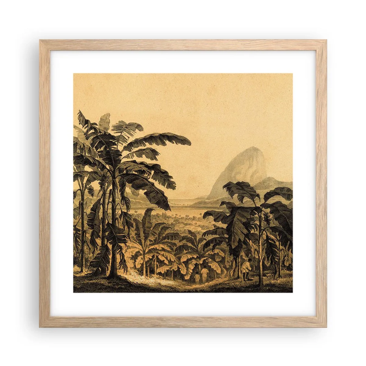 Plakat i ramme af lyst egetræ - I en kolonial atmosfære - 40x40 cm