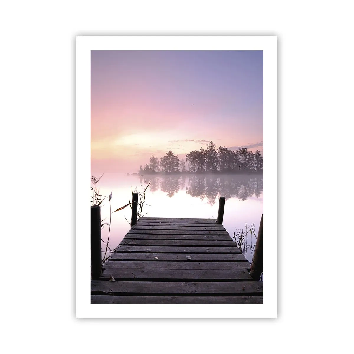 Plakat - Ud af den lilla tåge... - 50x70 cm