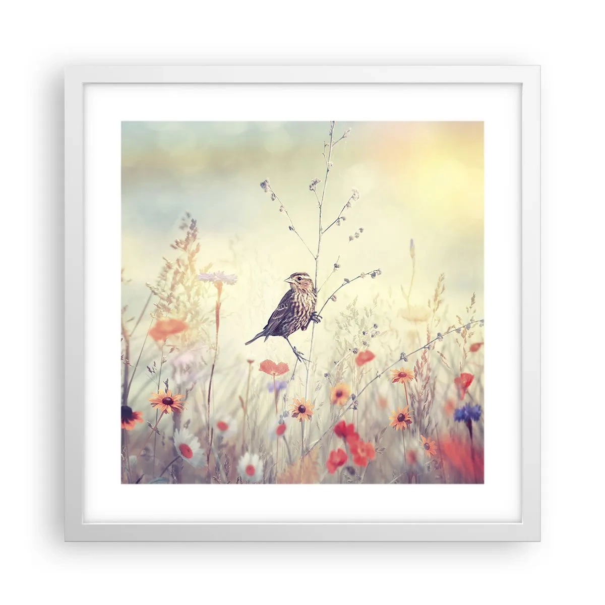 Plakat i hvid ramme - Fugleportræt med en eng i baggrunden - 40x40 cm