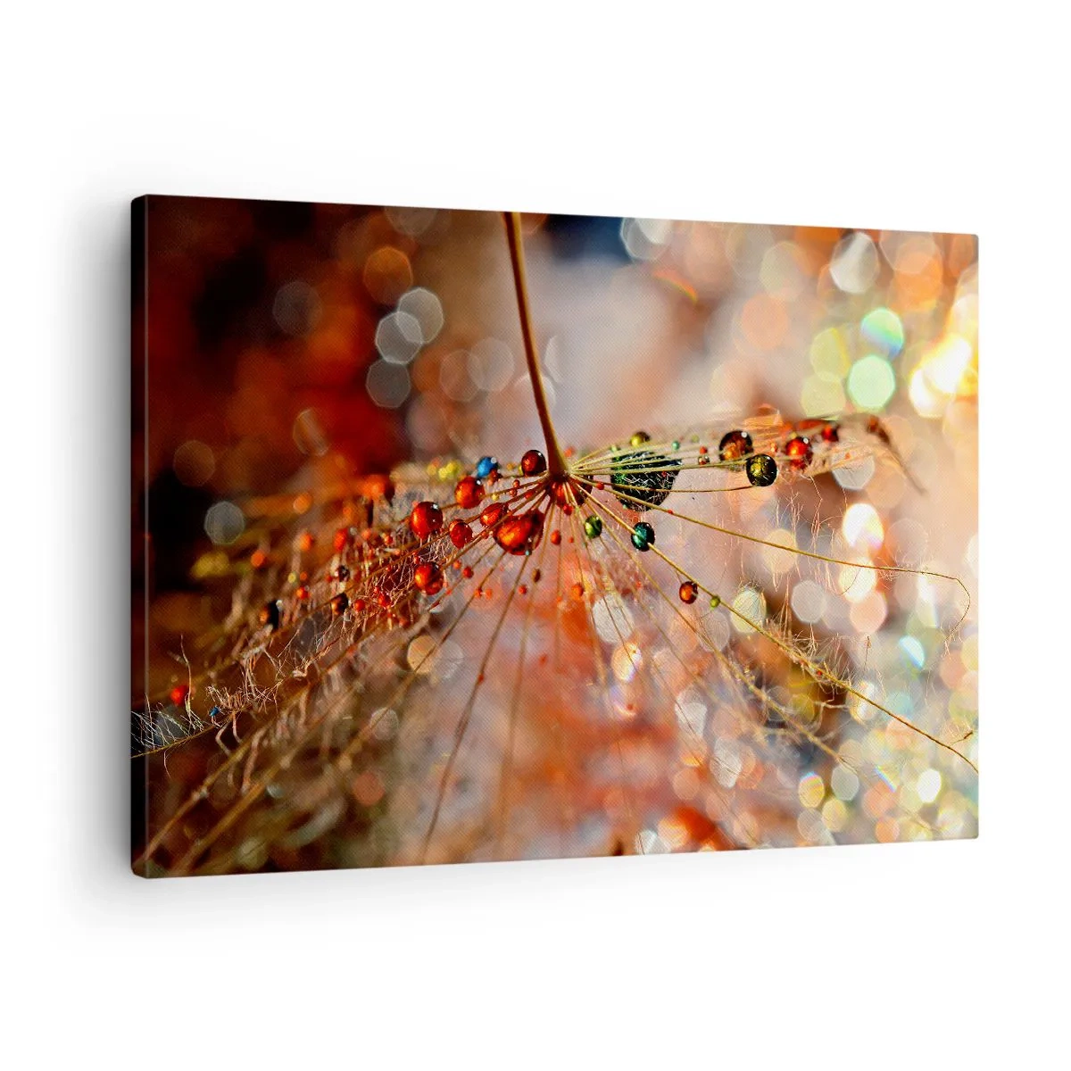 Lærredstryk - Billede på lærred - Makrofotografi af en vanddråbe på en sart plante - 70x50cm - Trådet på et edderkoppespind - Moderne vægdekoration til stue og soveværelse ARTTOR