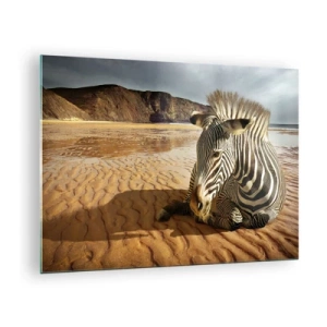 Billede på glas - En zebra hviler på stranden ved solnedgang - 70x50cm - Vi passer sammen - Moderne vægdekoration til stue og soveværelse ARTTOR