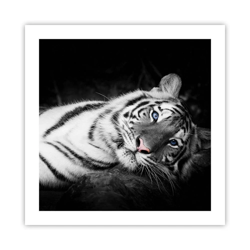 Plakat - Vildskab og fred - 50x50 cm