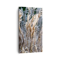 45x80 cm | Lodret