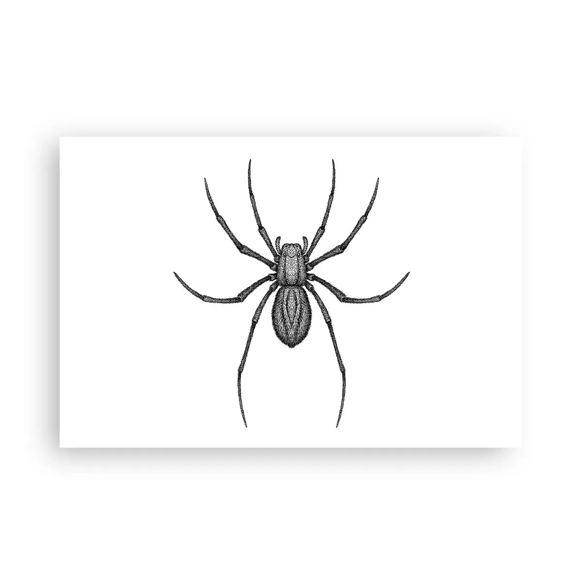 Plakat - Foruroligende præcision - 91x61 cm