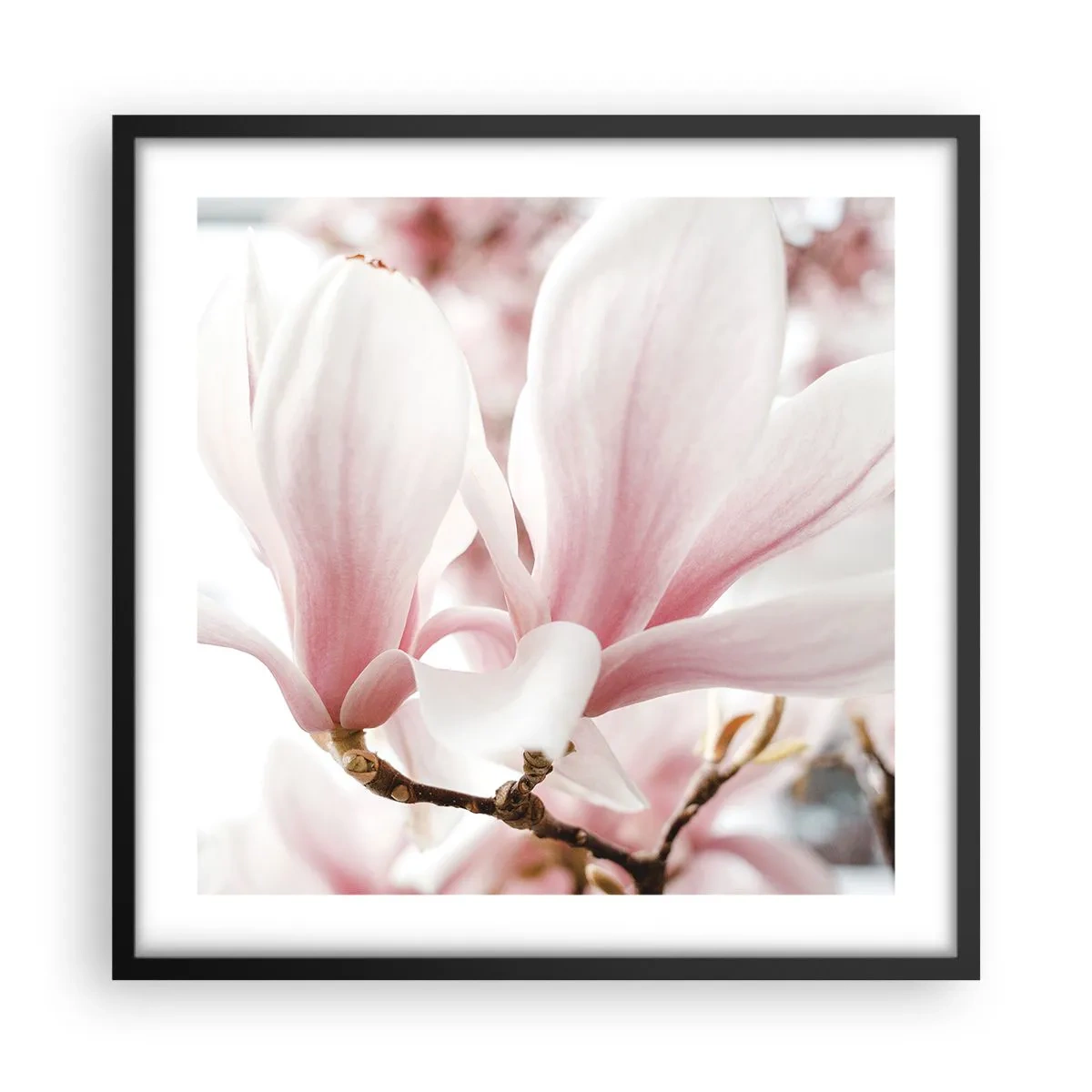 Plakat i sort ramme - Ømhedens umådelighed - 50x50 cm