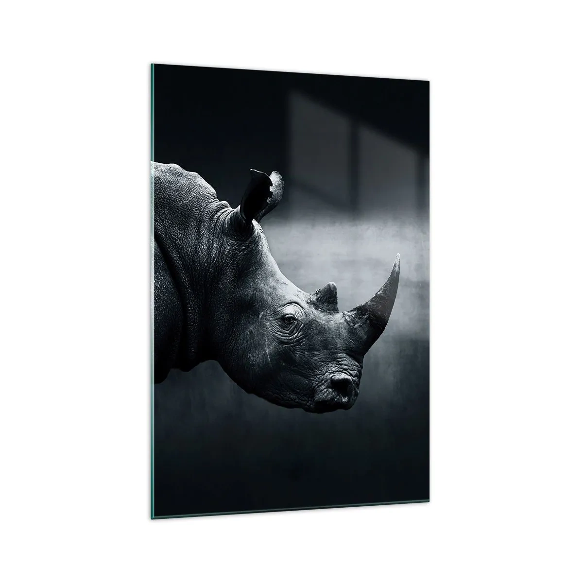 Billede på glas - Højre profil - 70x100 cm