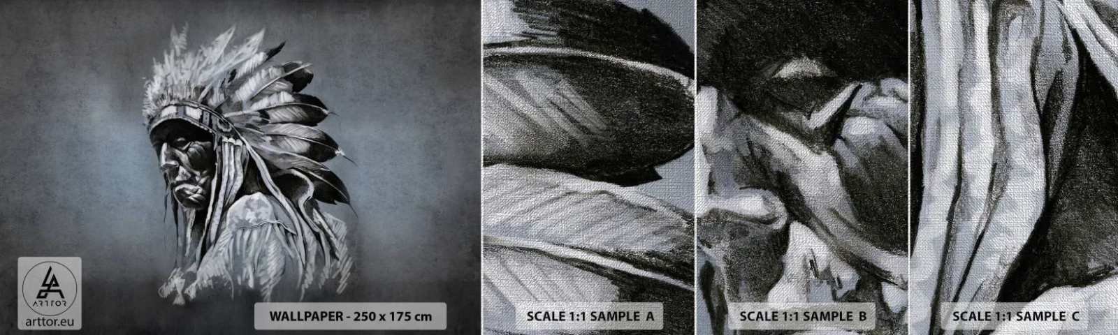 Prøve Fototapet Premium Canvas - Tilbage til rødderne - indisk, Plume, Mand - 100x30 cm